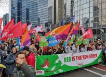 A Workers' Party of Belgium climate demonstration on December 2, 2018. 